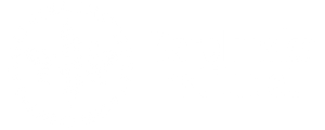 Karolinska Institutet Logo